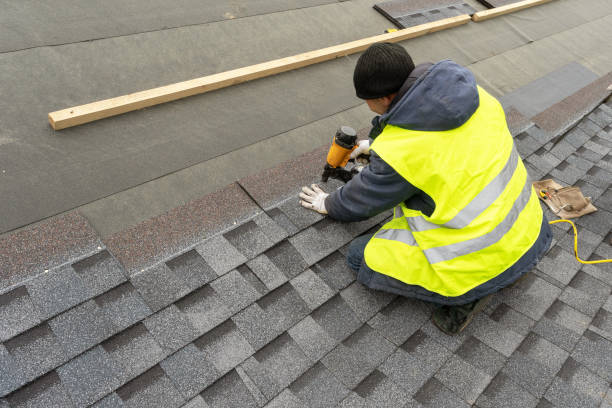 Best Roof Gutter Cleaning  in Coal Grove, OH